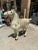 1970s 1970s Life Size Marble Horse With Gem Details For Sale - Image 5 of 7