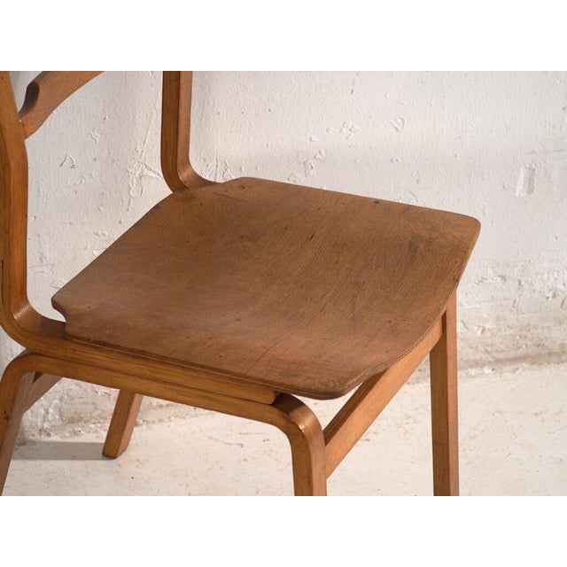 Chairs in Beech and Moulded Plywood, Central Europe, 1960, Set of 3 For Sale - Image 11 of 12