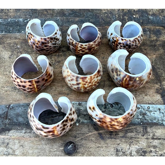 Vintage Sliced Shell Napkin Holders - Set of 8 For Sale - Image 11 of 12