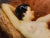 Joseph Tomanek- Nude Model in the Artist Studio-1920/30s Oil Painting For Sale - Image 4 of 12