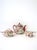 Japanese Porcelain Tea Coffee Set, Satsuma Art Nouveau Style, Mid-20th Century For Sale - Image 13 of 14