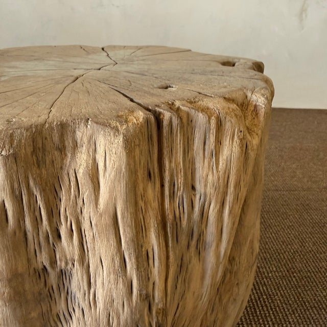 Early 21st Century Vintage Elm Wood Stump Side Table #61626b For Sale - Image 5 of 5