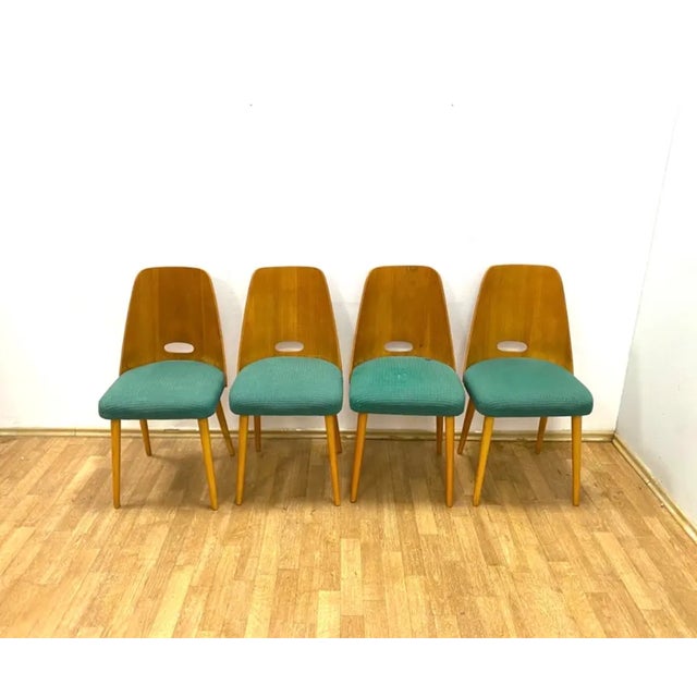 Chairs produced in the Czechoslovak Socialist Republic in 1964, reflecting the elegant Brussels-style design of the era....