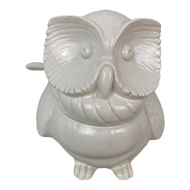 Vintage Ceramic Owl Tureen, Italian For Sale
