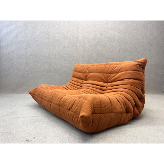Togo Two-Seater Sofa by Michel Ducaroy for Ligne Roset, 2007 For Sale - Image 18 of 18