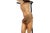 Spanish Polychromed Carved Corpus Christi Statue Sculpture, 18th/19th Century For Sale - Image 14 of 18