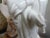 Chinese Blanc De Chine Guan Yin With Dragon For Sale In Houston - Image 6 of 13
