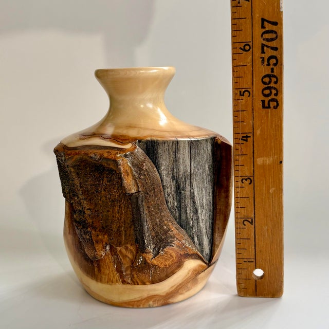 Brown Vintage Handcrafted Live Edge Wood Vase by How's Your Aspen? Rocky Mountains, 5.75"h For Sale - Image 8 of 8