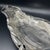 Pairpoint Silver Company 1950s Pairpoint Lotus Silverplate Serving Dish For Sale - Image 4 of 7