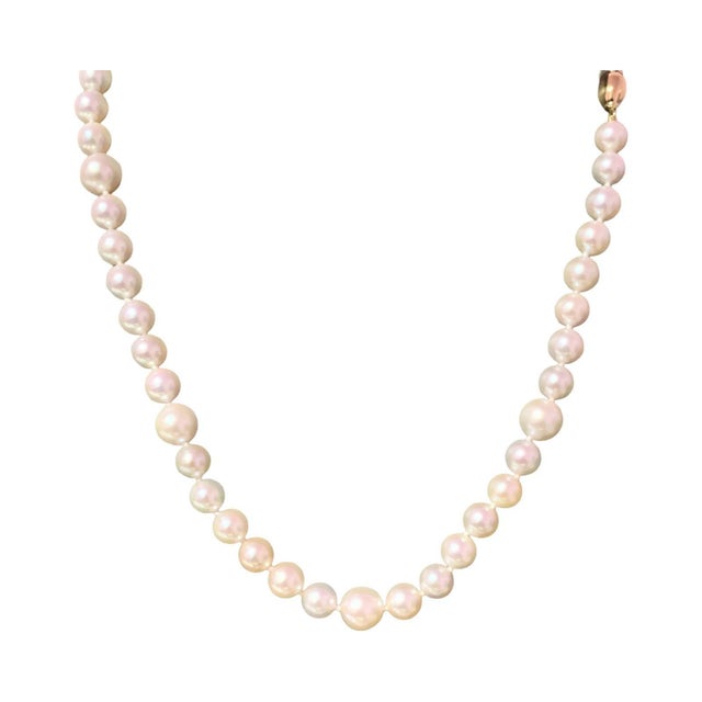 Akoya Pearl Necklace 14k Gold Certified For Sale - Image 10 of 14