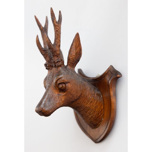 Black Forest Pair of Antique Black Forest Carved Deer Head Trophy Plaques, Circa 1900 For Sale - Image 4 of 7