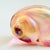 Vintage Iridescent Pink Art Glass Shell Paperweight For Sale In San Francisco - Image 6 of 8