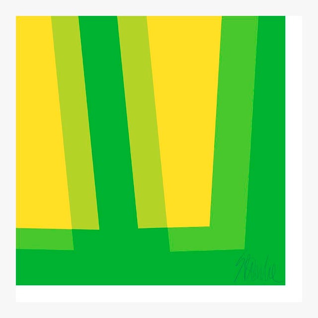 Not Yet Made - Made To Order Yellow and Green Transparencies Fine Art Print 14" X 20" by Liz Roache For Sale - Image 5 of 6