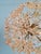 German Sputnik Chandelier in Brass and Amber Murano Glass from Sische, 1960 For Sale - Image 6 of 18