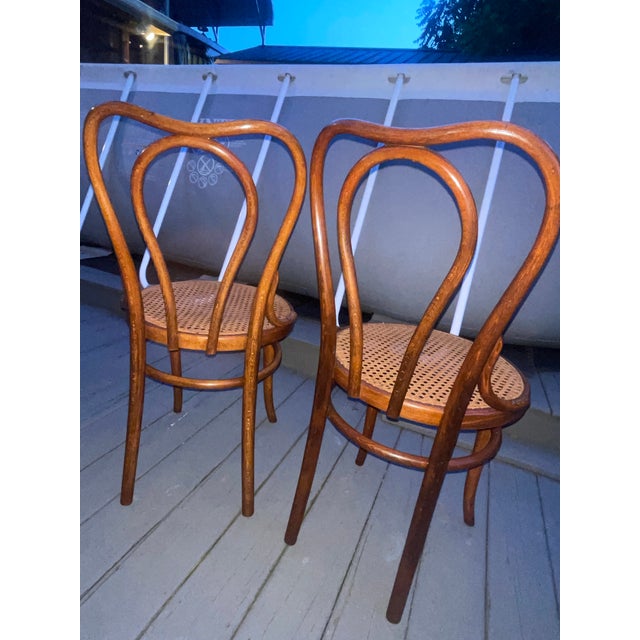 French Antique Thonet #16 Matched Pair of Parlor Chairs For Sale - Image 3 of 10