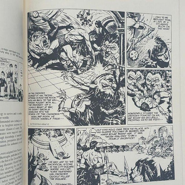 1970s 1974 the Comics an Illustrated History of Comic Strips Art Book Jerry Robinson For Sale - Image 5 of 5