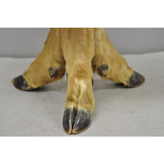 Vintage Rustic Taxidermy Tripod Deer Hoof Foot Cabin Decor Table Lamp W/ Shade For Sale - Image 13 of 17