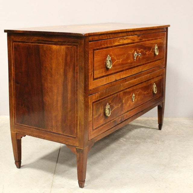 18th Century Italian Louis XVI Walnut Chest of Drawers For Sale - Image 3 of 17