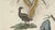 Copper Bertuch, Lyrebird & Tailorbird, 1797, Engraving For Sale - Image 8 of 9