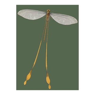 Bugs by Seguy #25 For Sale
