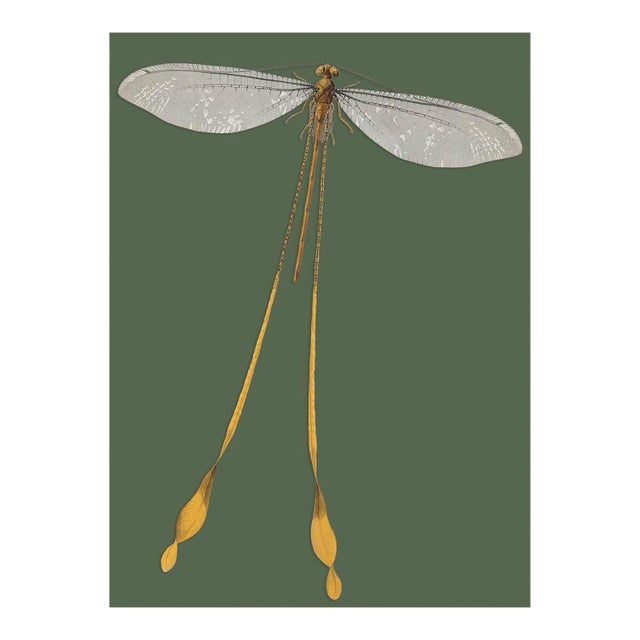 Bugs by Seguy #25 For Sale
