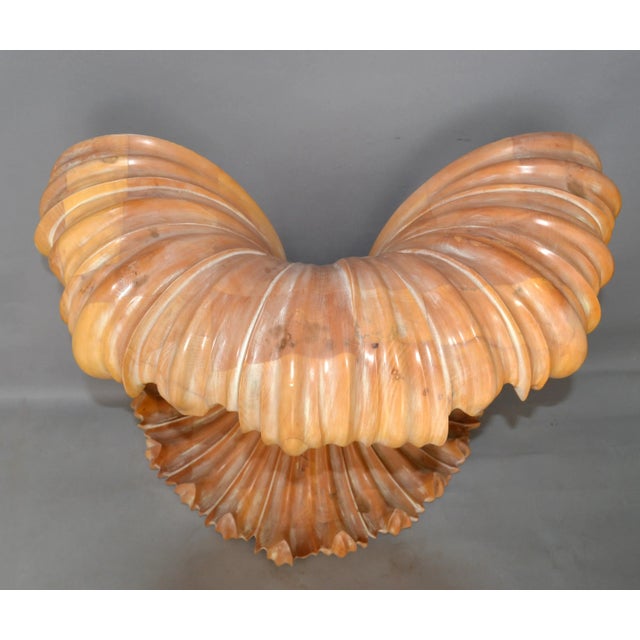 Taupe Serge Roche Style Hollywood Regency Hand Carved Wood Palm Leaf Console & Mirror For Sale - Image 8 of 13