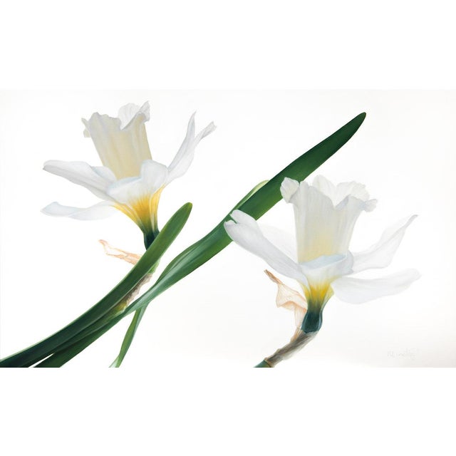 Where Light Rests - Oil on Canvas - White Flowers For Sale