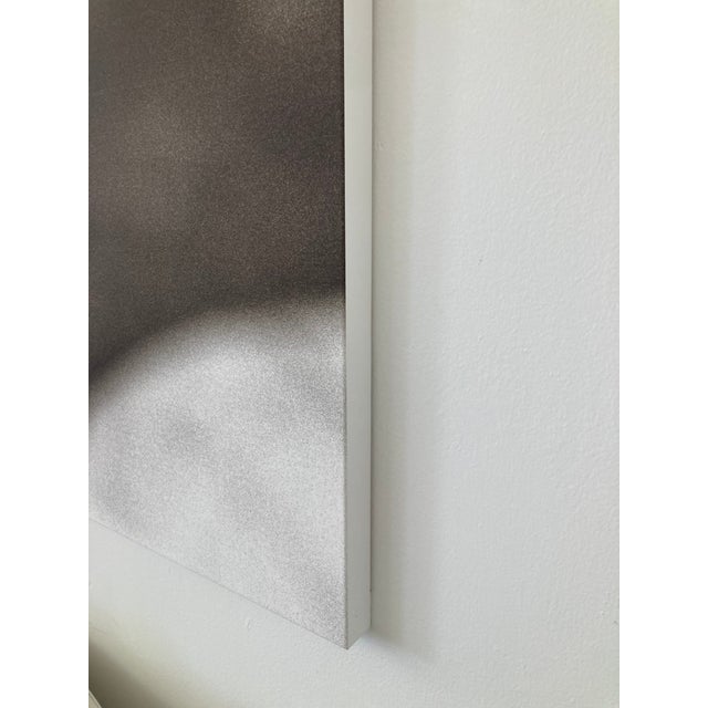 William Gray Harris Photograph on Canvas “ Aphrodite's Golden Apple" For Sale - Image 9 of 12