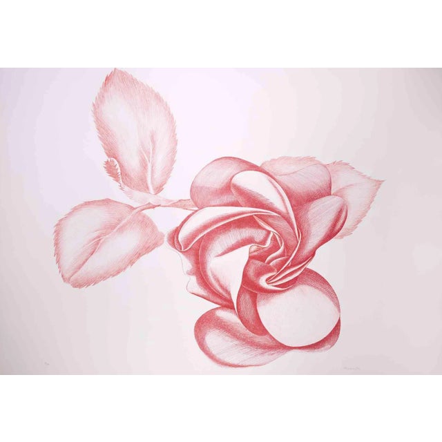 Giacomo Porzano, Red Rose, 1970s, Etching For Sale