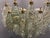 1980s Murano Glass Polygon Chandelier, 1980s For Sale - Image 5 of 15