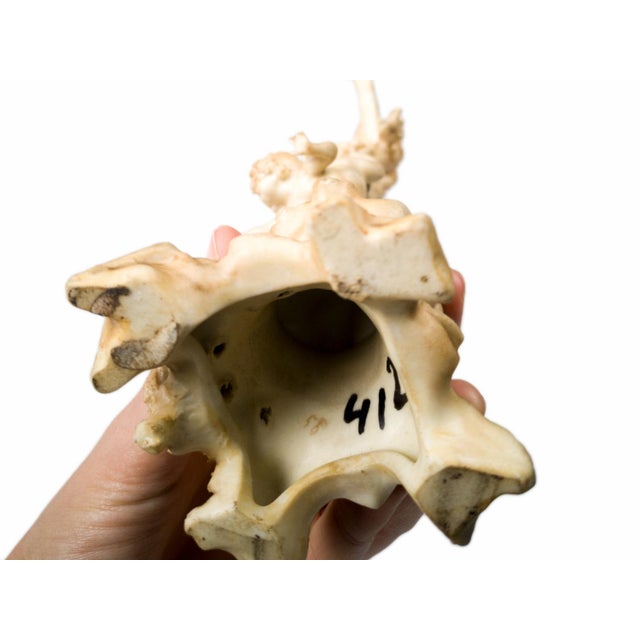 Art Nouveau Fortuna Goddess Tyche in Porcelain, 20th Century For Sale - Image 3 of 8