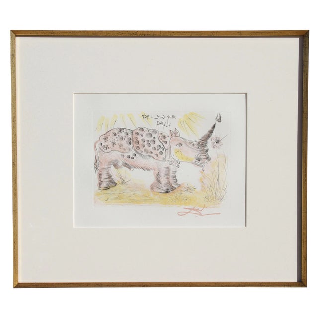 Salvador Dali - Rhinoceros Restrike Etching For Sale