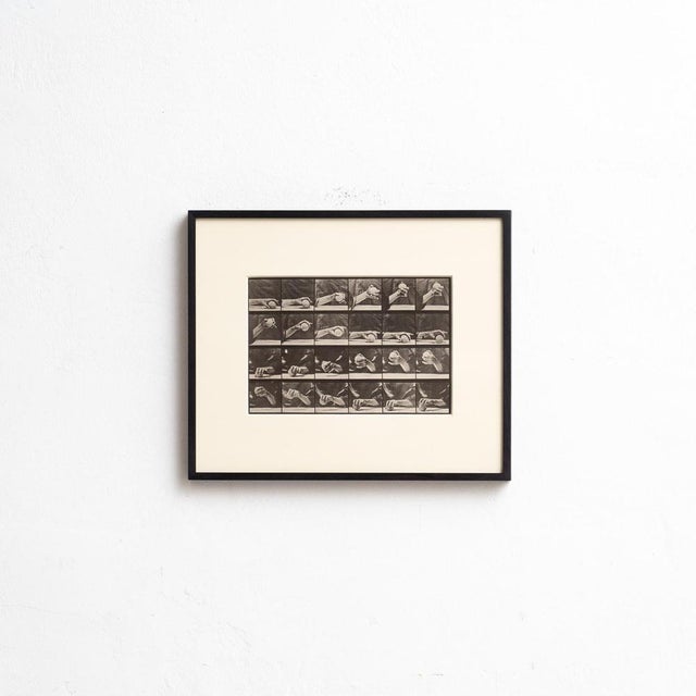 Explore the pioneering work of Eadweard Muybridge with this framed black and white photograph, capturing his meticulous...