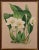 This beautiful, original hand-colored orchid lithograph entitled "Lycaste Harrisoniae Eburnea" Orchids by John Nugent...