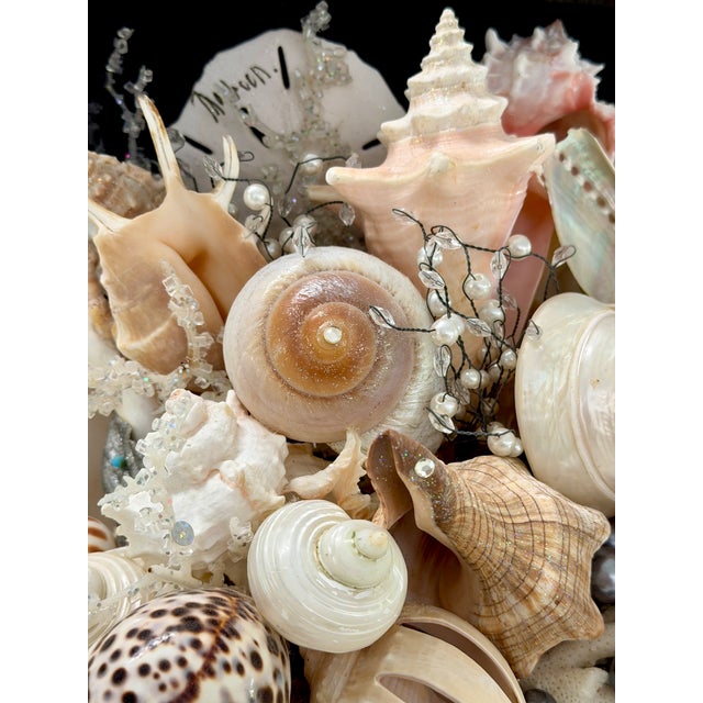 Coastal Seashell Box Sculpture For Sale - Image 13 of 13