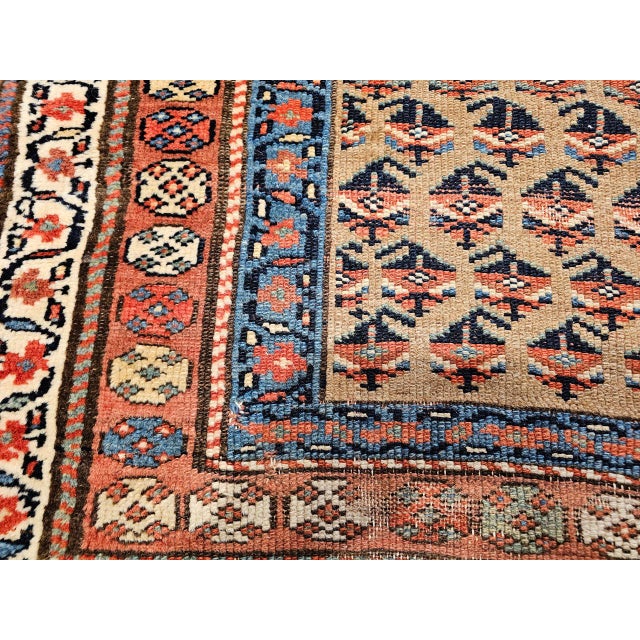Vintage Persian Kurdish Bidjar Gallery Rug, Hand-Knotted Wool, Allover Paisley Design, Camelhair & Blue, 5x12 For Sale - Image 13 of 16