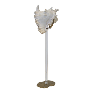 Arthur Court Shell Sculpture on Lucite Stand