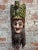 Antique Wood Carved Painted Mexican Mask For Sale - Image 10 of 10