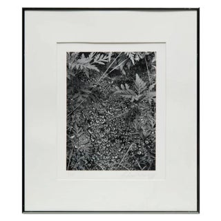 Andreas Feininger, American Photographer Andreas Feininger Silver Gelatin Vintage Print For Sale