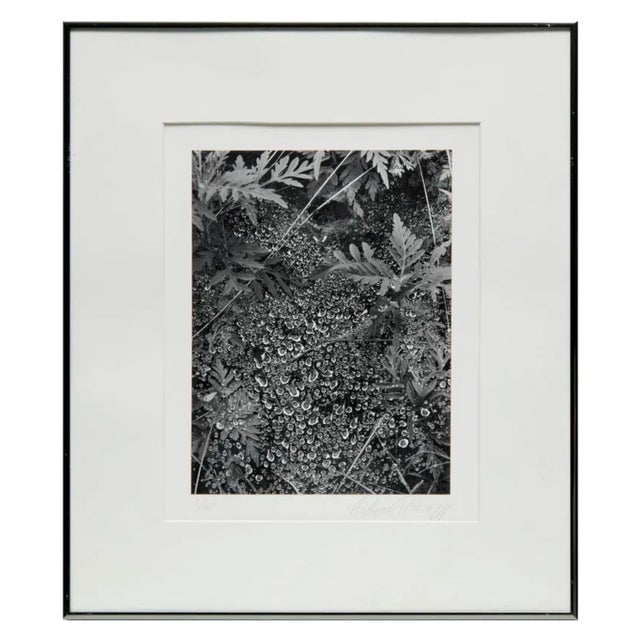 Andreas Feininger, American Photographer Andreas Feininger Silver Gelatin Vintage Print For Sale