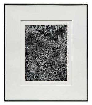 Andreas Feininger, American Photographer Andreas Feininger Silver Gelatin Vintage Print