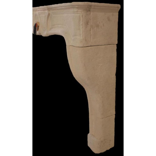 20th Century French Louis XV Limestone Fireplace with Floral Medallion For Sale - Image 4 of 7