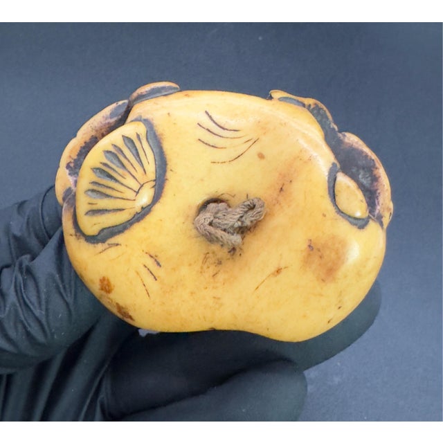 Asian Style Antique Japanese Bone Netsuke, Sea Life, Edo Period, Belt Toggle For Sale - Image 4 of 8