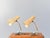 Gold Mid-Century Table Lamps by Cosack 1950s, Set of 2 For Sale - Image 8 of 8