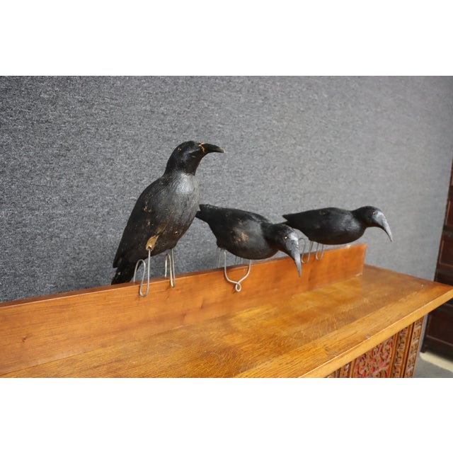 Set of three carved wooden crow decoys, each featuring a black painted finish, glass eyes, and metal legs. The figures...