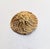 Mid-Century Modern Vintage 1960s Signed Napier Round Goldtone Flower Brooch For Sale - Image 3 of 6