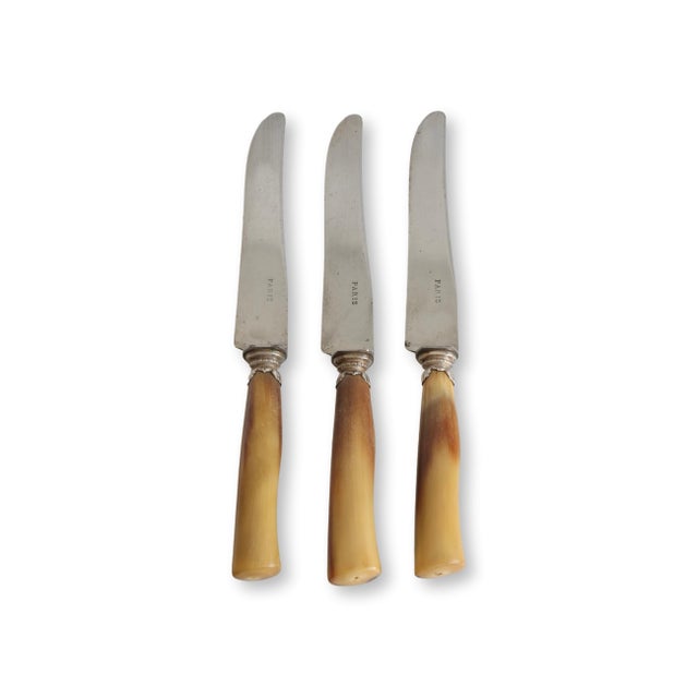 Rustic European Late 19th Century French Natural Stag Horn Large Dinner Knives, Set of 12 For Sale - Image 3 of 3