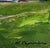 Oil Painting Evening Field Boris Serdyuk For Sale - Image 9 of 10