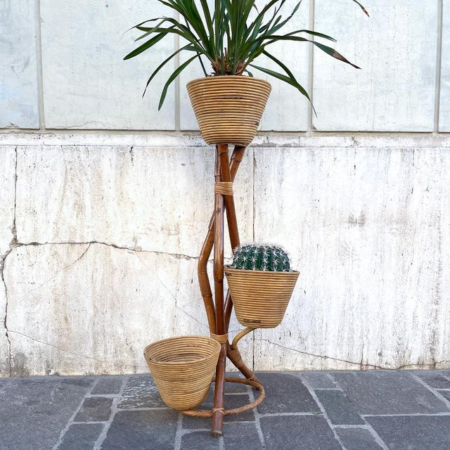 Wood Bamboo and Rattan Plant Pot, Italy, 1950s For Sale - Image 7 of 16