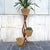 Wood Bamboo and Rattan Plant Pot, Italy, 1950s For Sale - Image 7 of 16